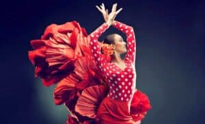 Clases Flamenco Online Directo